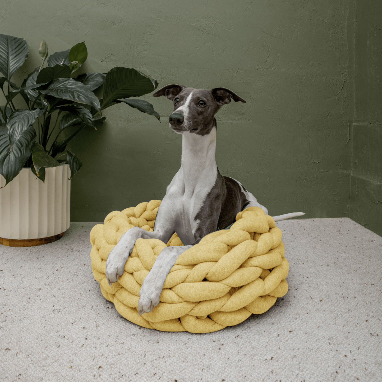 Chunky Knit Starter Kit