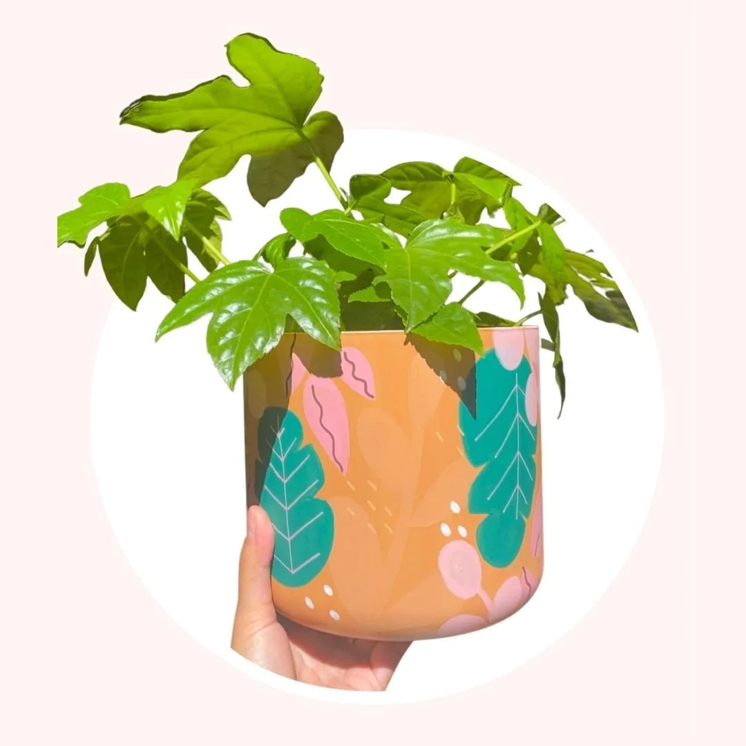 Paint n’ Pot Kit design finished off with Crockd acrylic paint pens